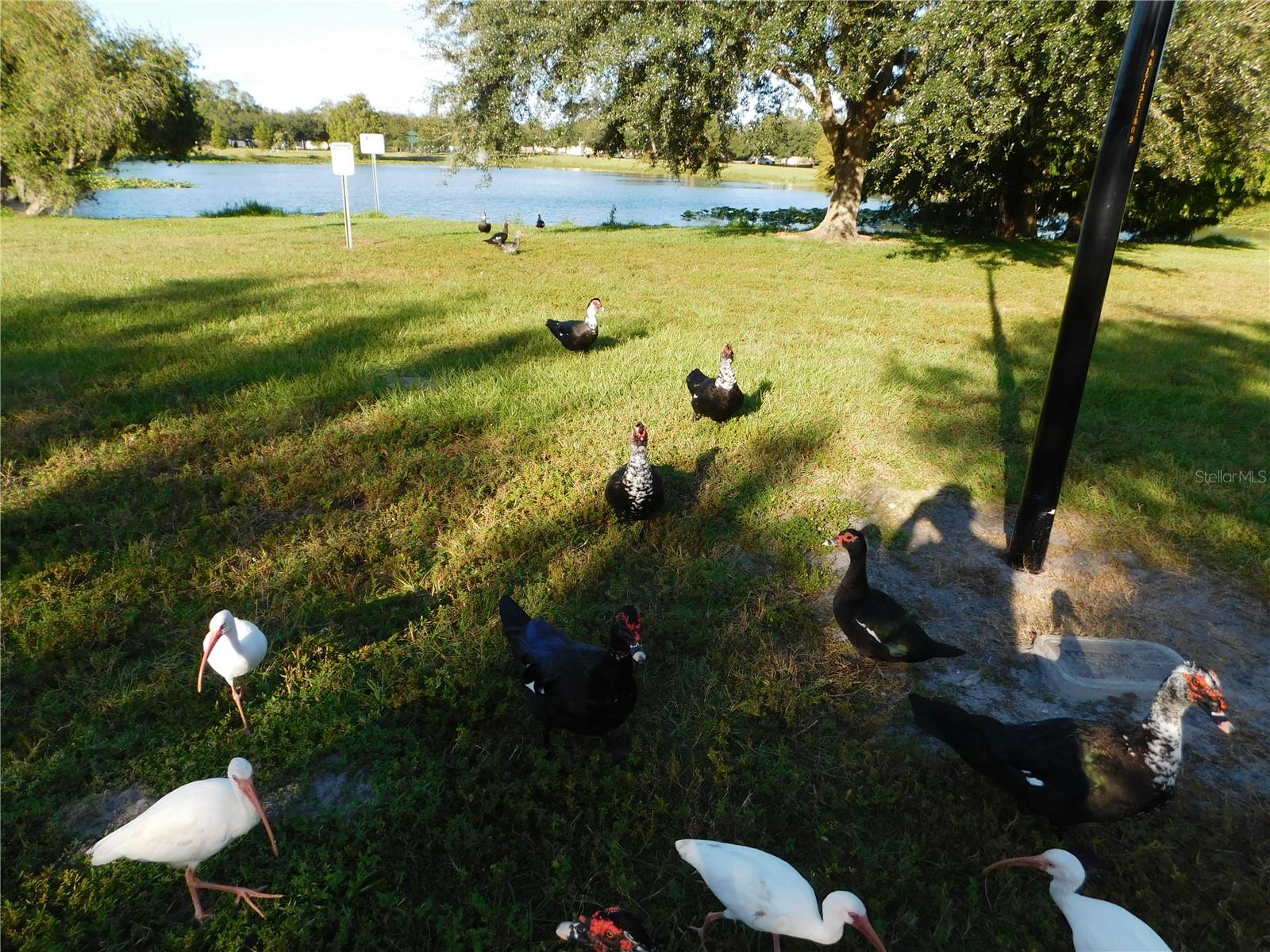 910 CHEROKEE CIR, SANFORD, FL, 32773