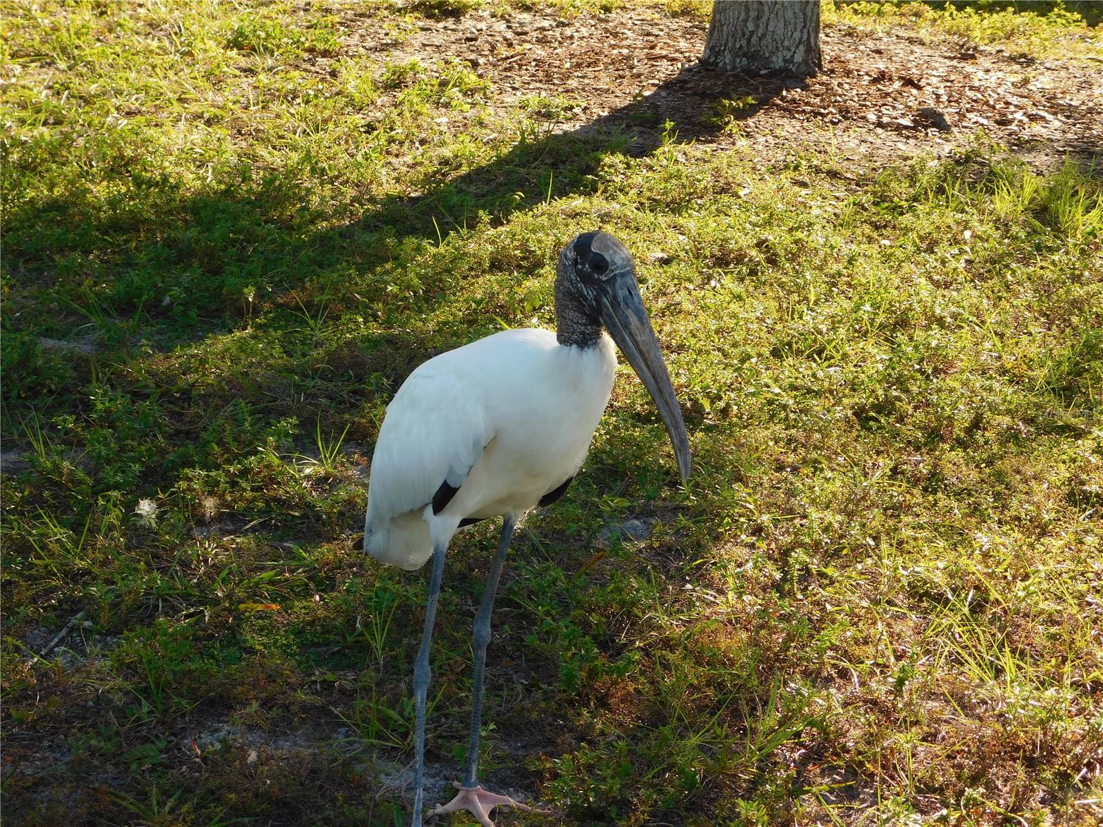 910 CHEROKEE CIR, SANFORD, FL, 32773