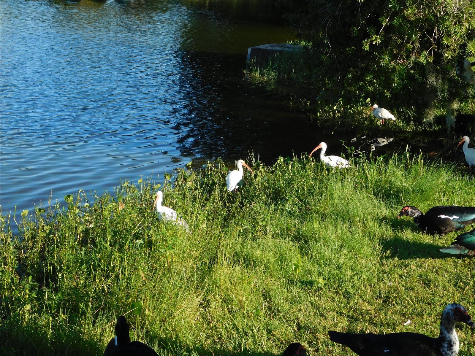 910 CHEROKEE CIR, SANFORD, FL, 32773