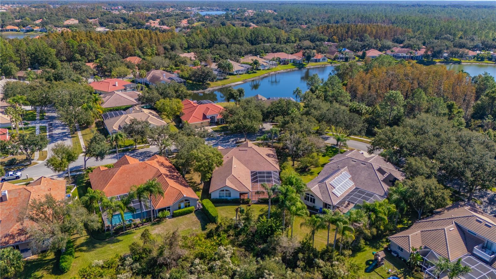 17908 ARBOR GREENE DR, TAMPA, FL, 33647