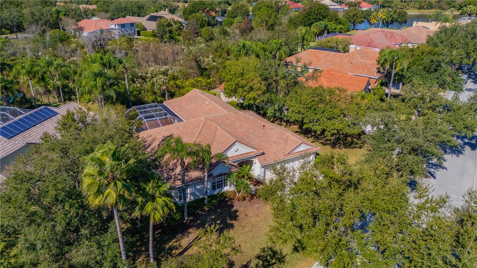 17908 ARBOR GREENE DR, TAMPA, FL, 33647