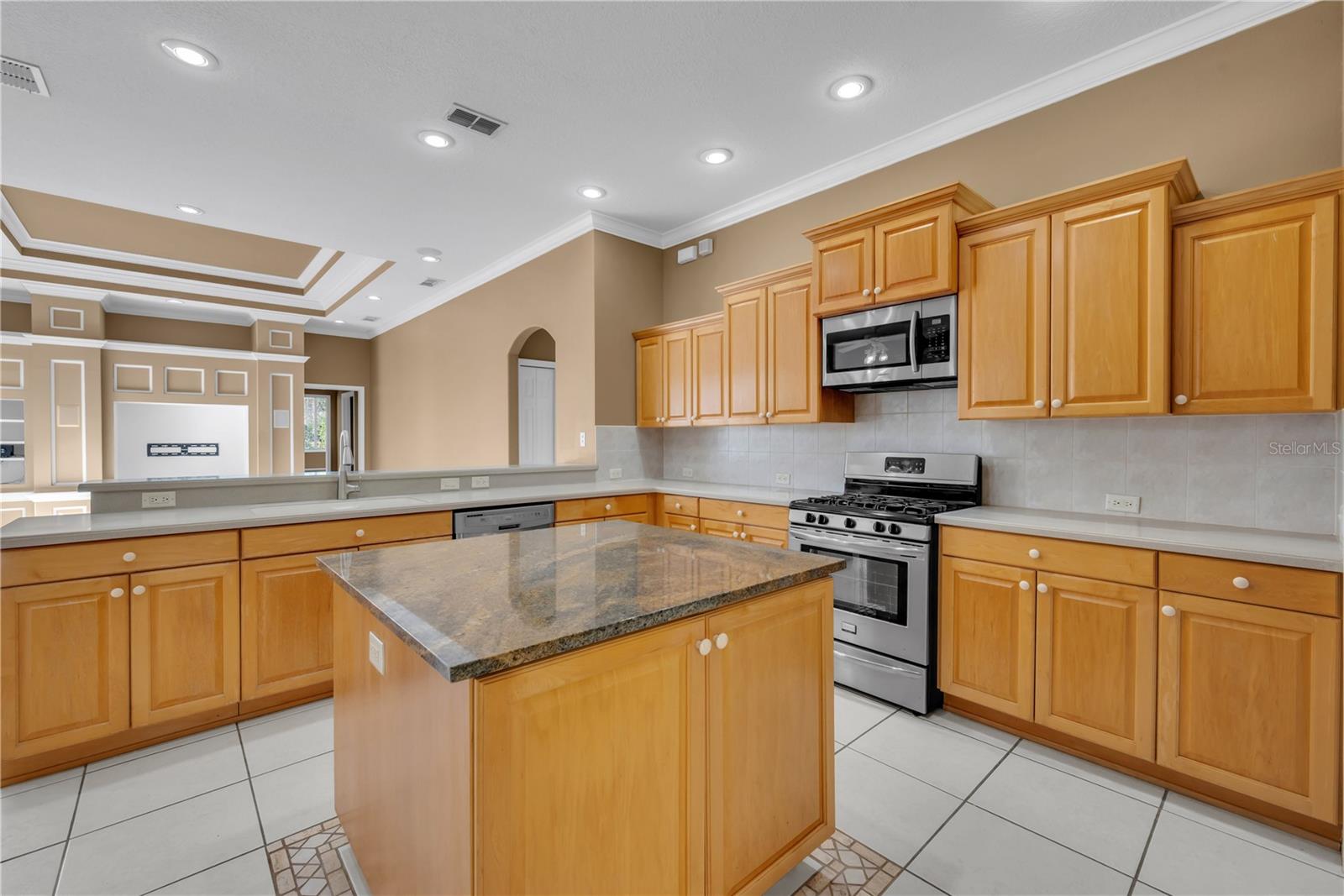 17908 ARBOR GREENE DR, TAMPA, FL, 33647