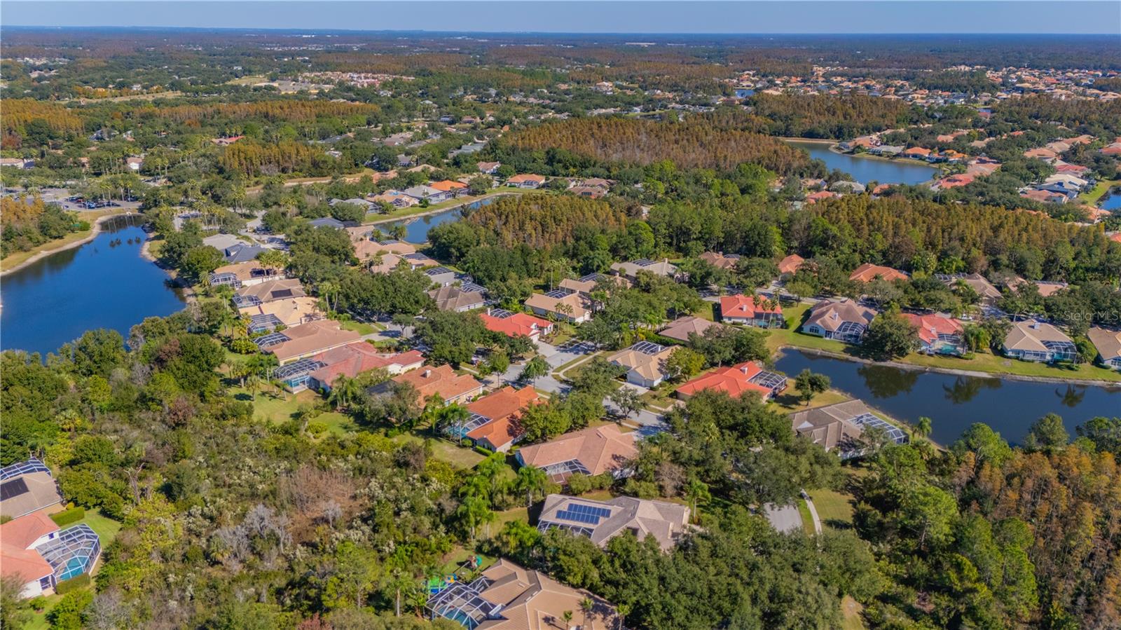 17908 ARBOR GREENE DR, TAMPA, FL, 33647