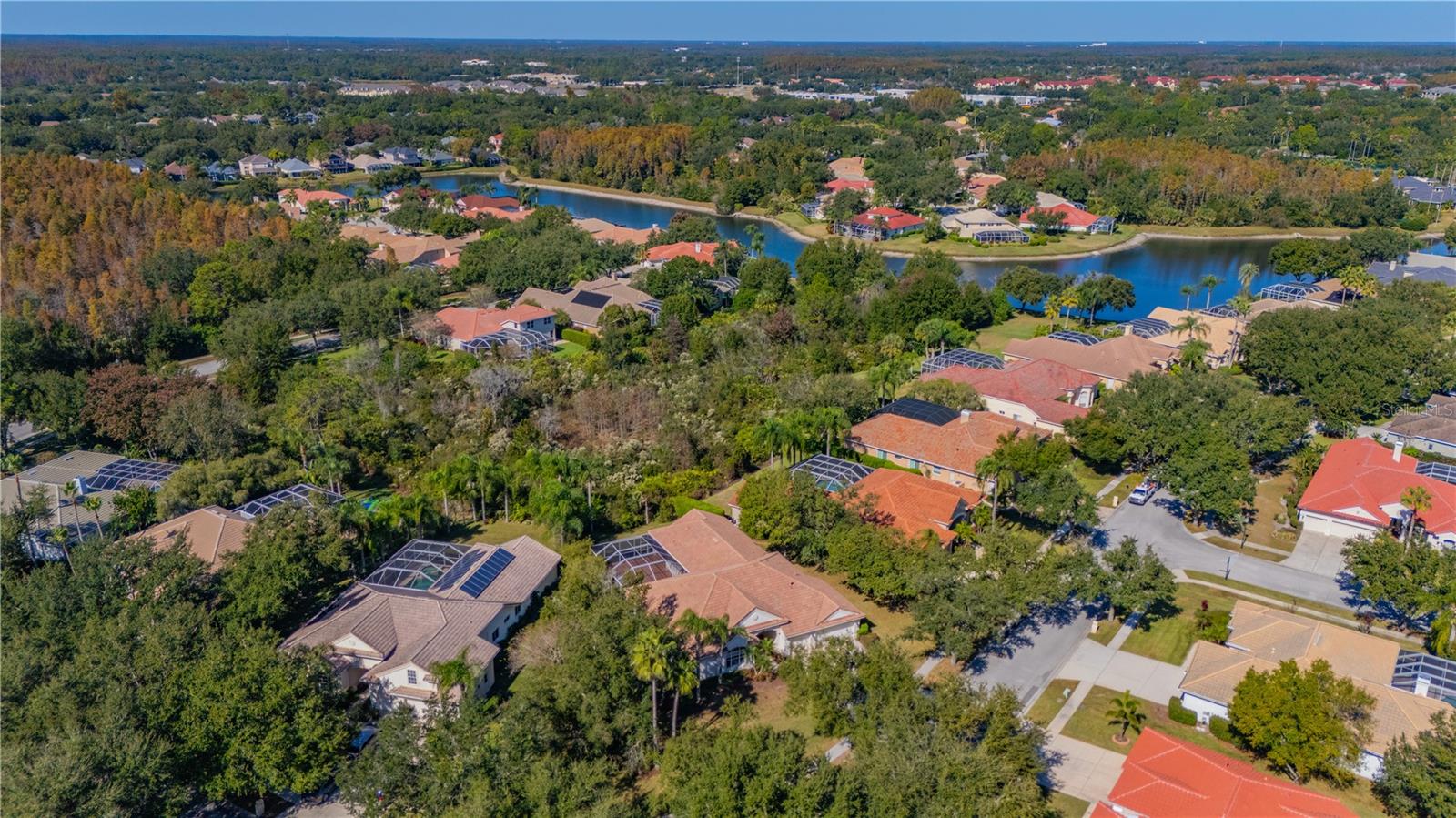 17908 ARBOR GREENE DR, TAMPA, FL, 33647