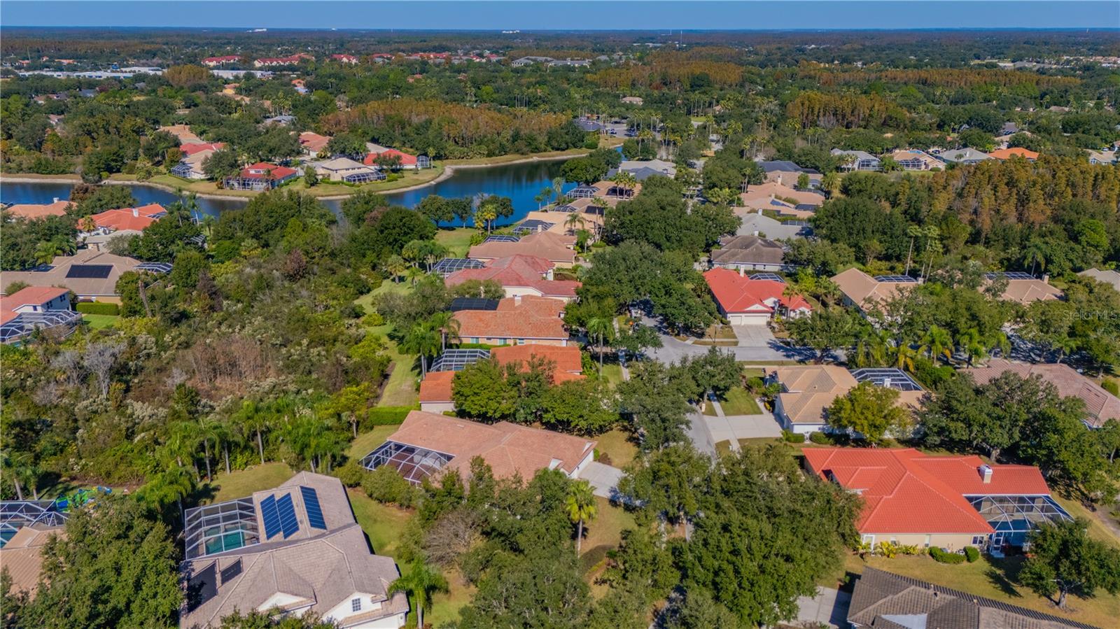 17908 ARBOR GREENE DR, TAMPA, FL, 33647