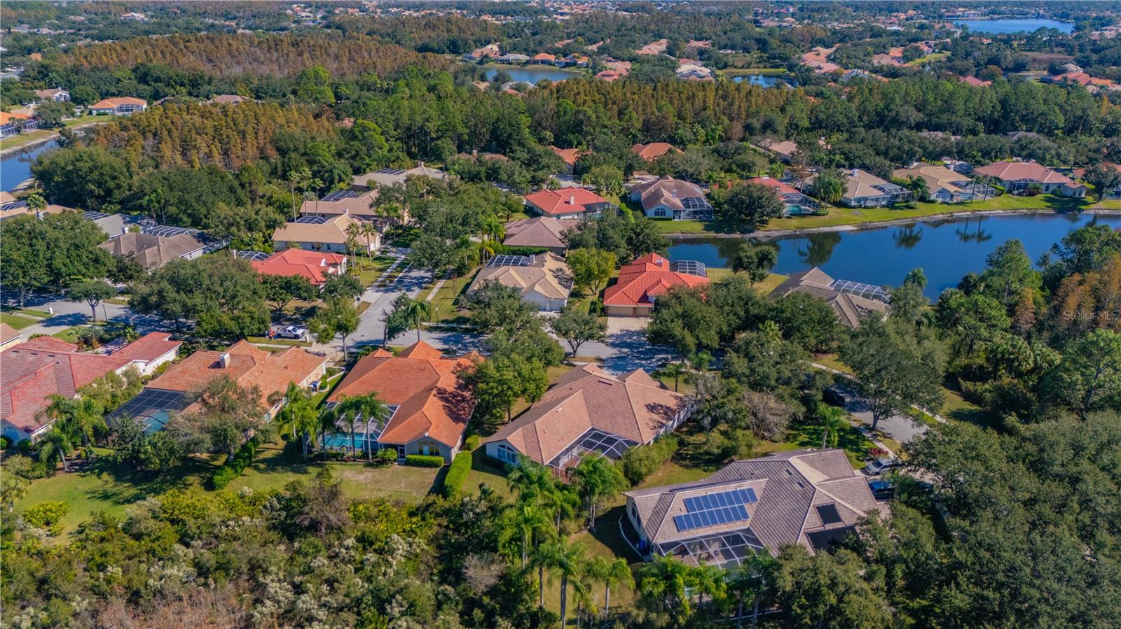 17908 ARBOR GREENE DR, TAMPA, FL, 33647