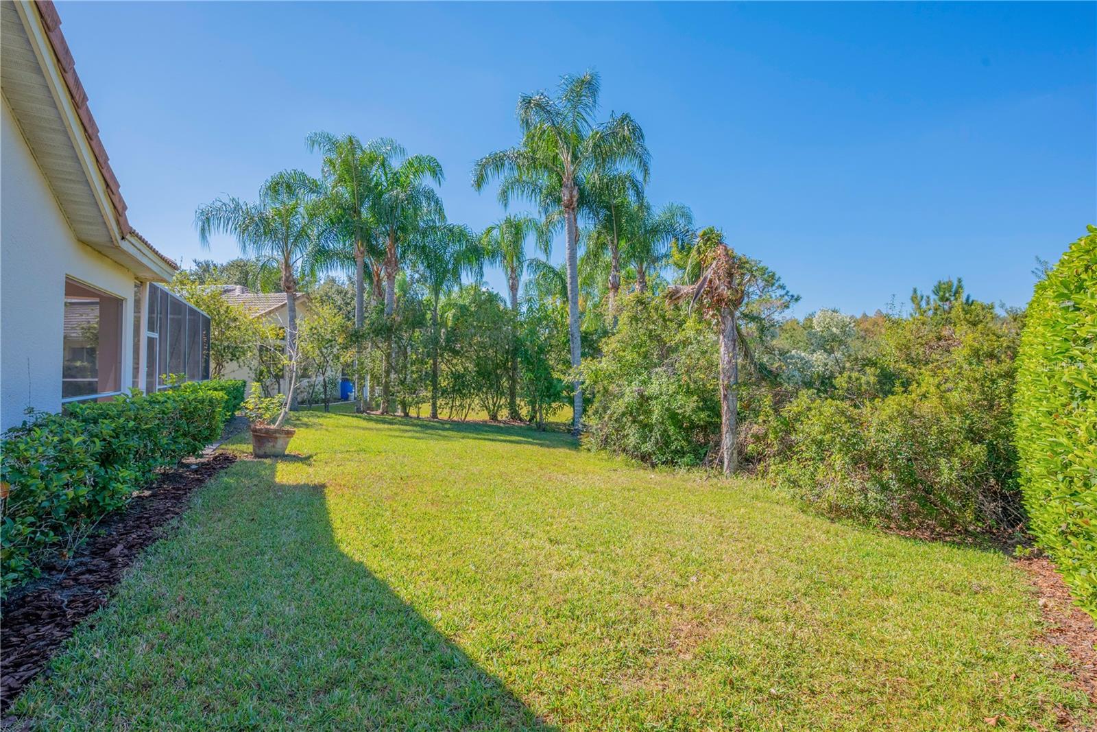 17908 ARBOR GREENE DR, TAMPA, FL, 33647