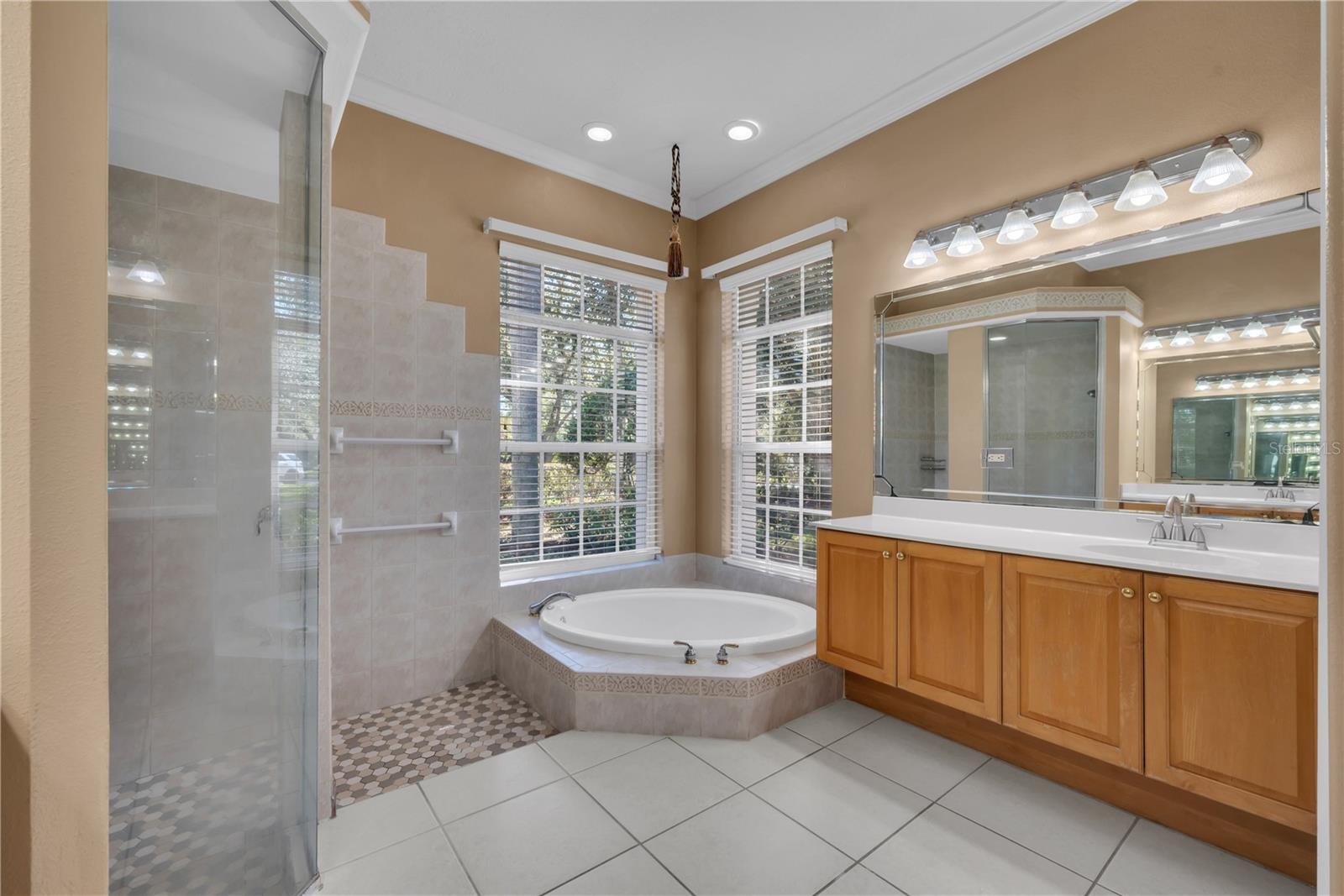 17908 ARBOR GREENE DR, TAMPA, FL, 33647