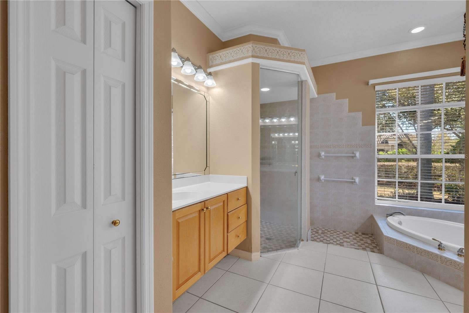 17908 ARBOR GREENE DR, TAMPA, FL, 33647