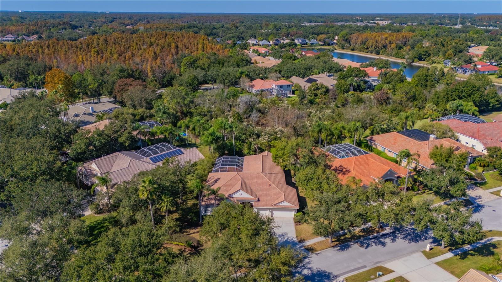 17908 ARBOR GREENE DR, TAMPA, FL, 33647