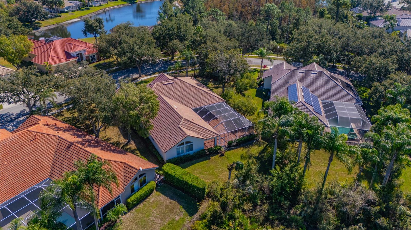 17908 ARBOR GREENE DR, TAMPA, FL, 33647