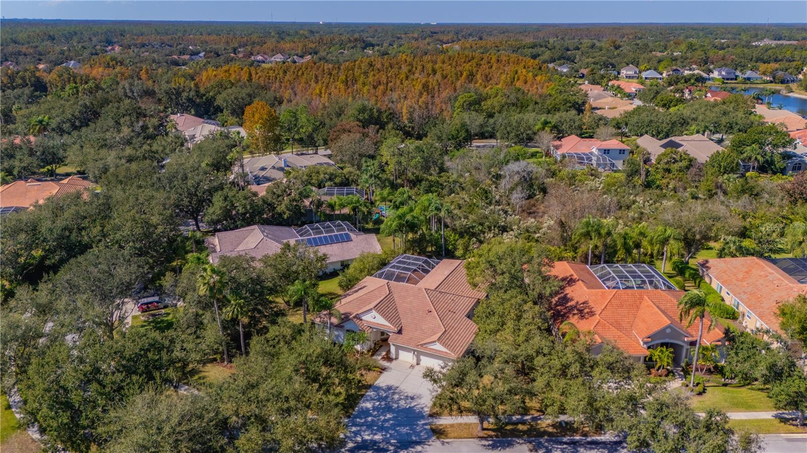 17908 ARBOR GREENE DR, TAMPA, FL, 33647