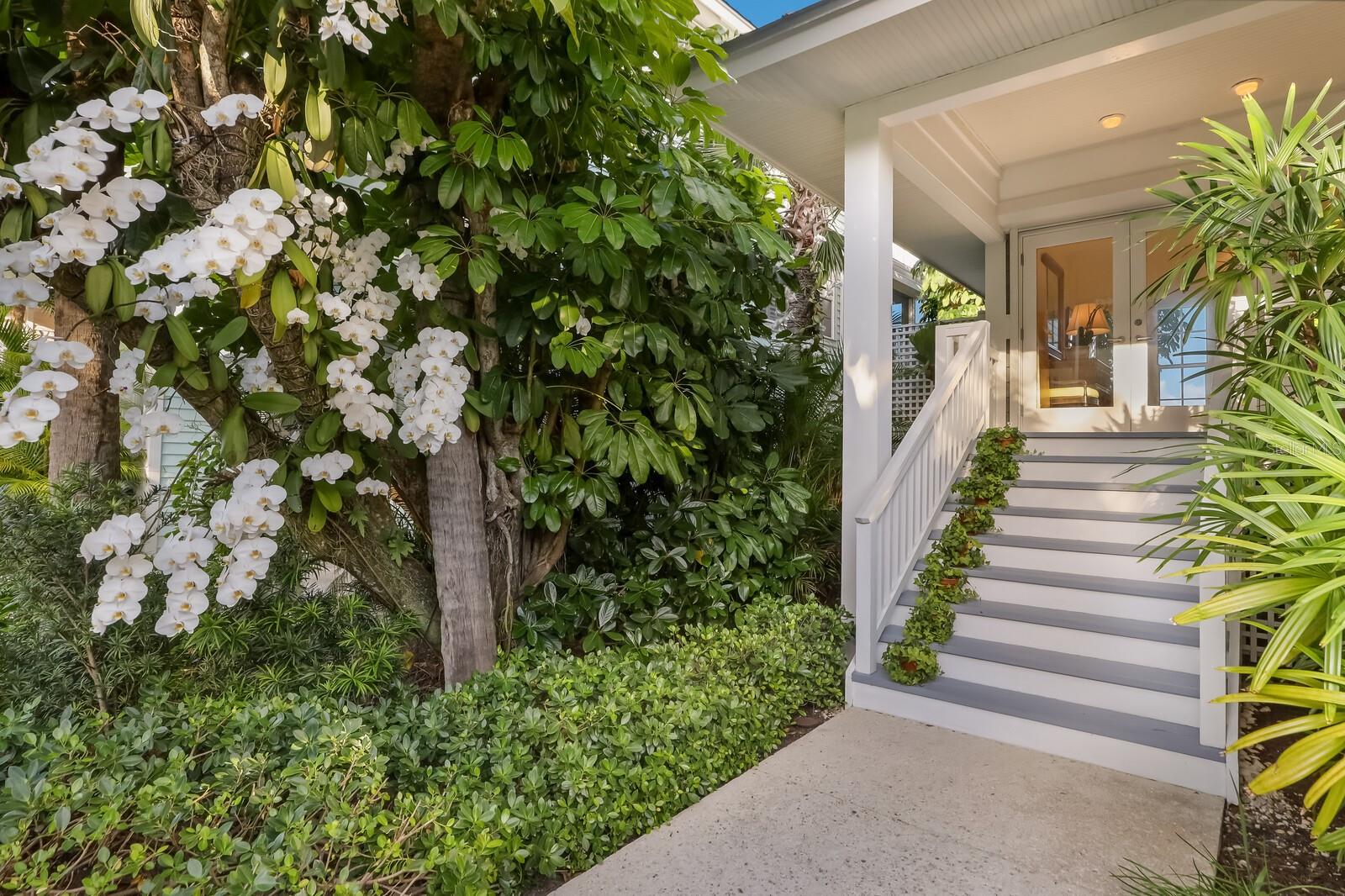 D6144328 Property Photo