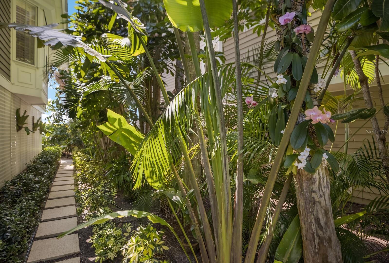 D6144328 Property Photo