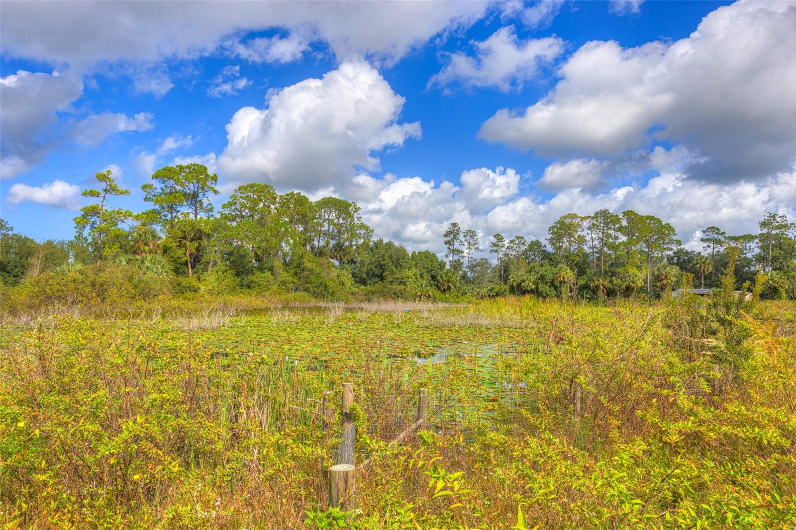 708 LAKE SHORE DR, PIERSON, FL, 32180