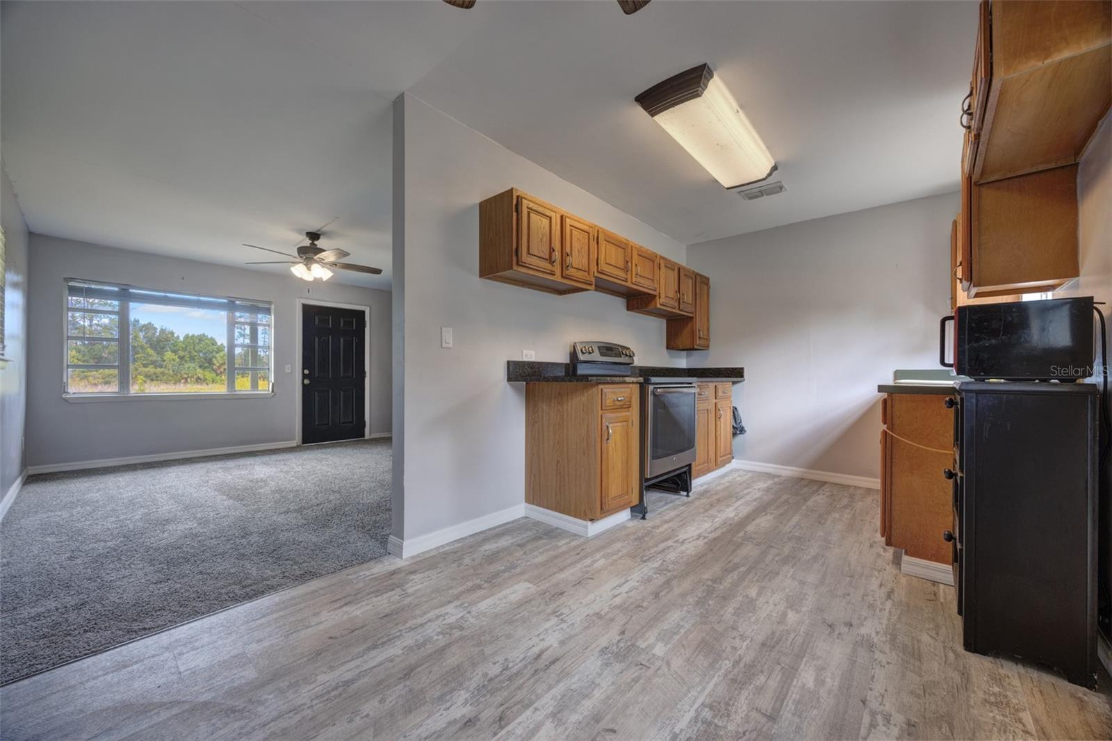 708 LAKE SHORE DR, PIERSON, FL, 32180