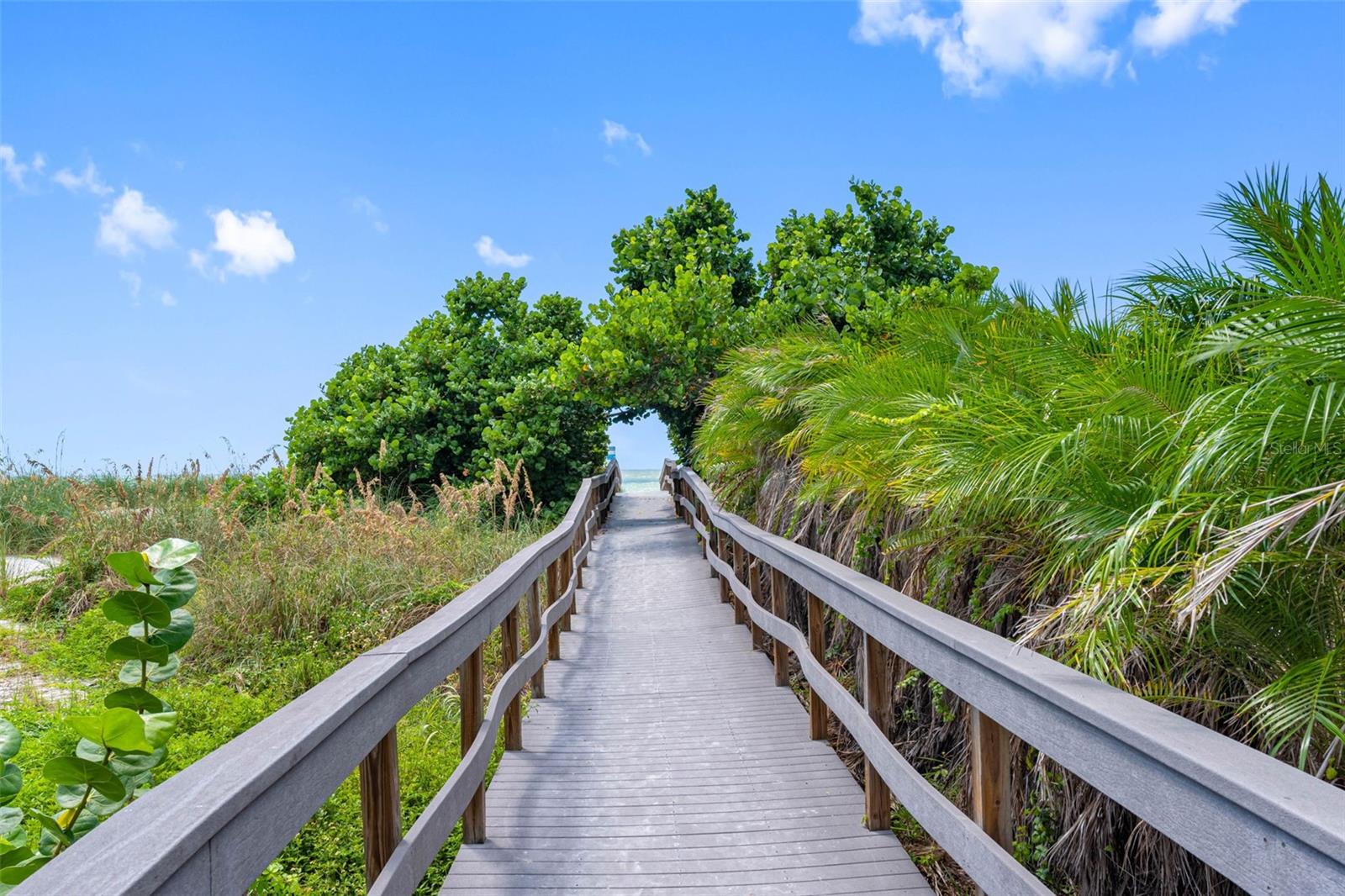 200 121ST AVE #104, TREASURE ISLAND, FL, 33706