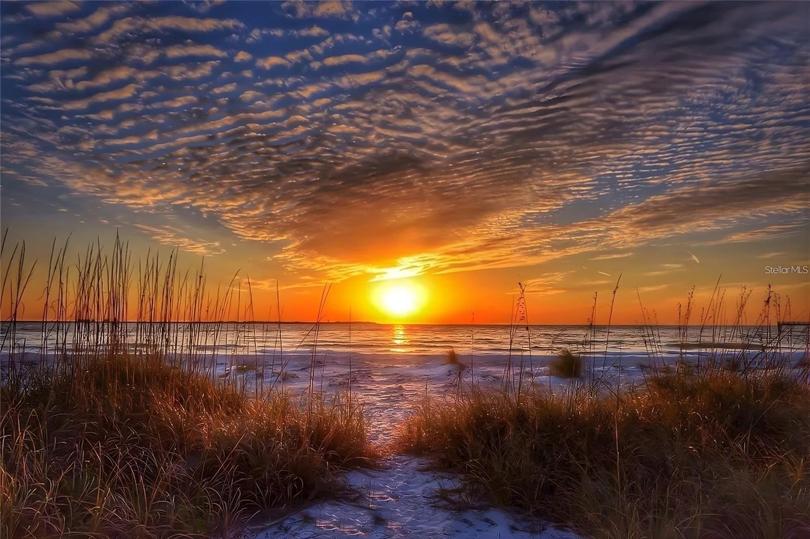 200 121ST AVE #104, TREASURE ISLAND, FL, 33706