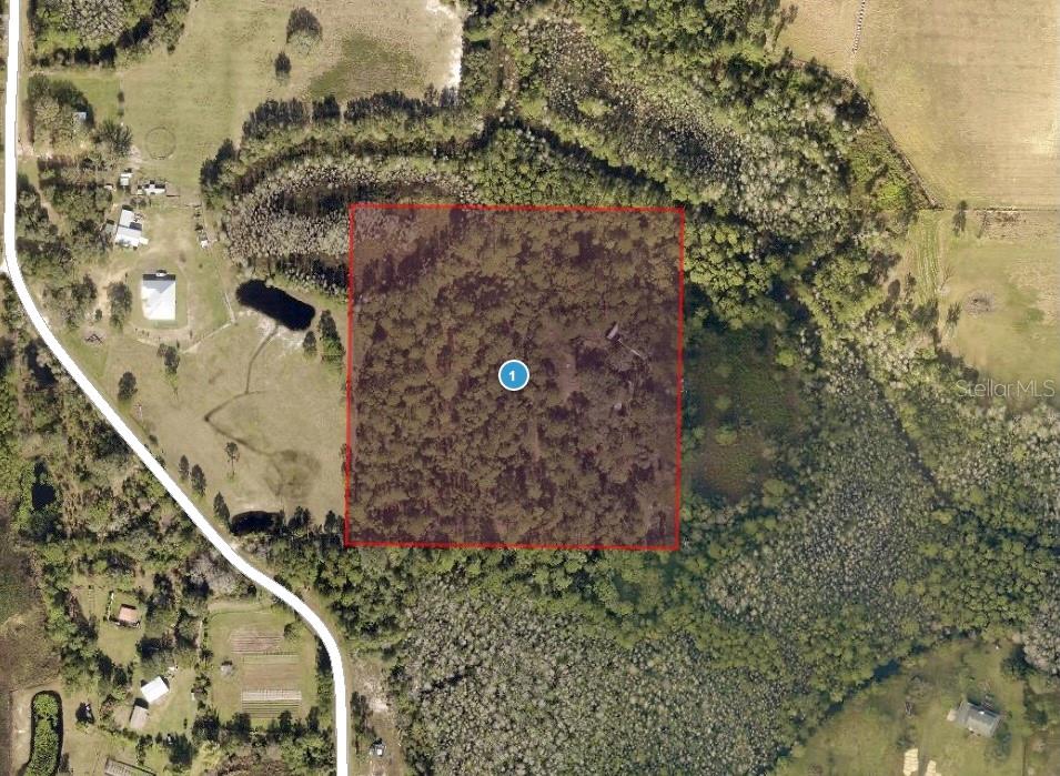 9121 FLORIDA BOYS RANCH RD, CLERMONT, FL, 34711
