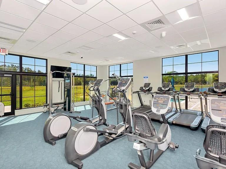 29823 GANGA WAY, WESLEY CHAPEL, FL, 33543