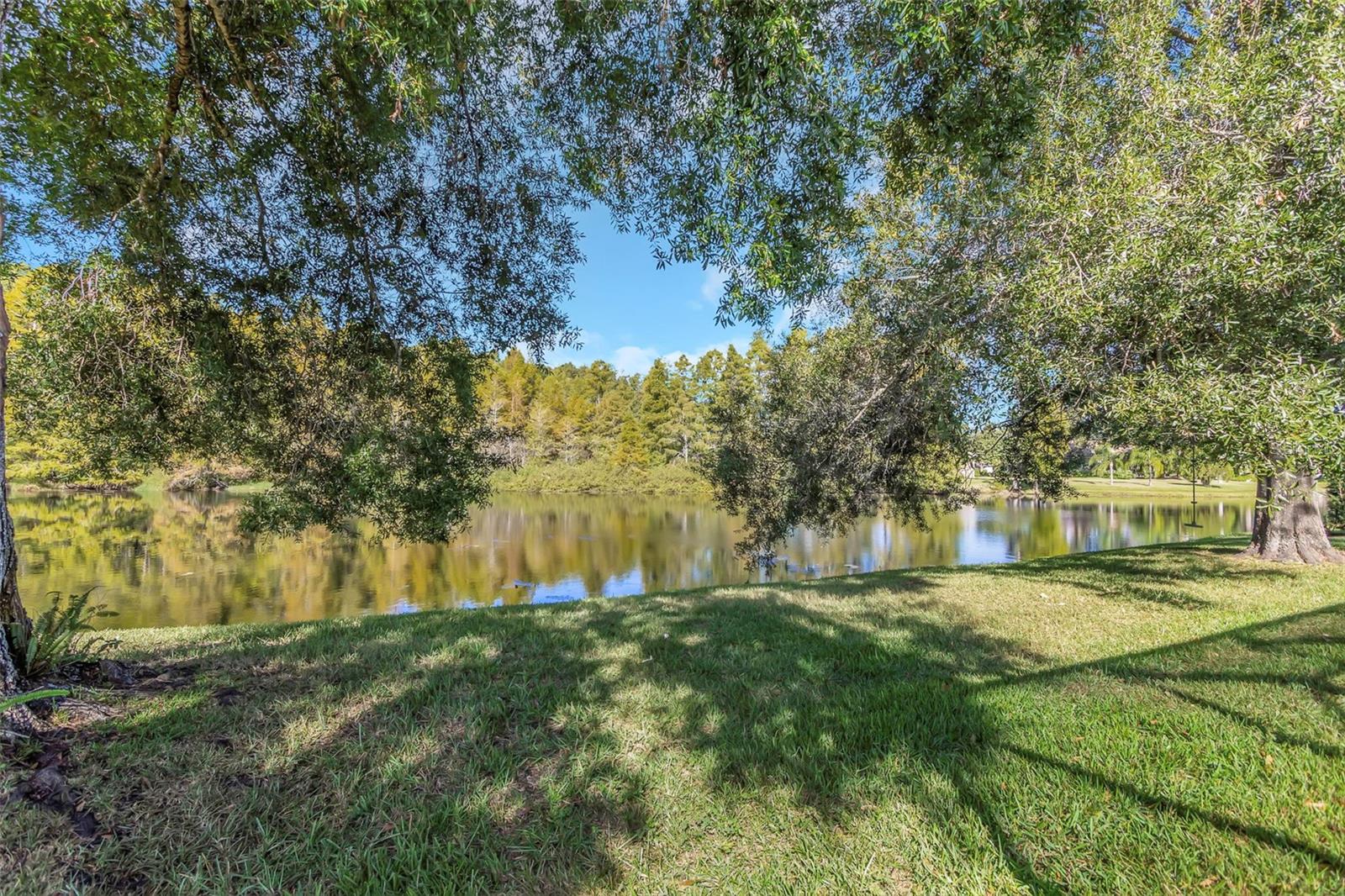 1130 KINGS WAY LN, TARPON SPRINGS, FL, 34688