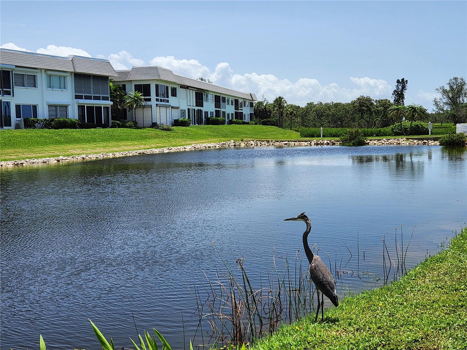 4832 INDEPENDENCE DR, BRADENTON, FL, 34210