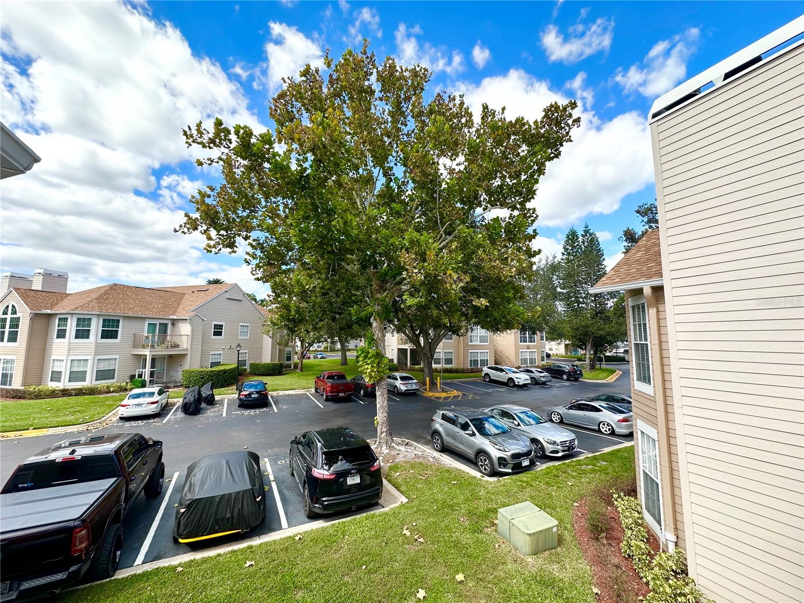 654 ROARING DR #228, ALTAMONTE SPRINGS, FL, 32714