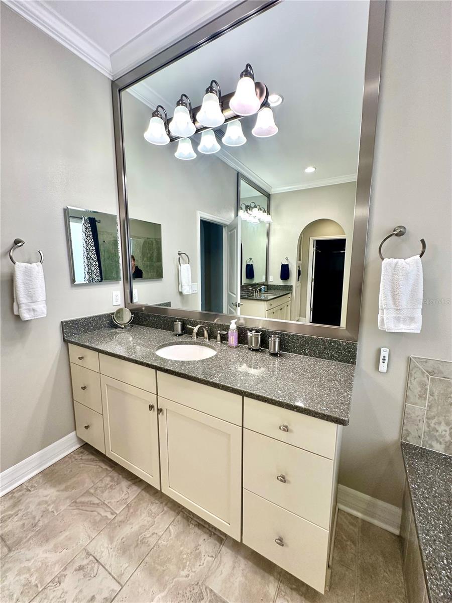 2620 MILFORD BERRY LN, TAMPA, FL, 33618