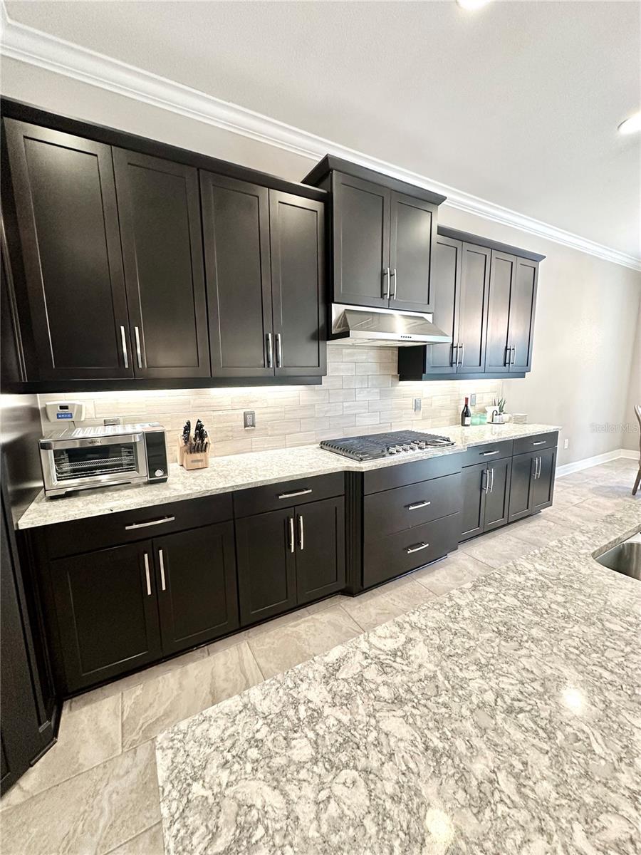 2620 MILFORD BERRY LN, TAMPA, FL, 33618