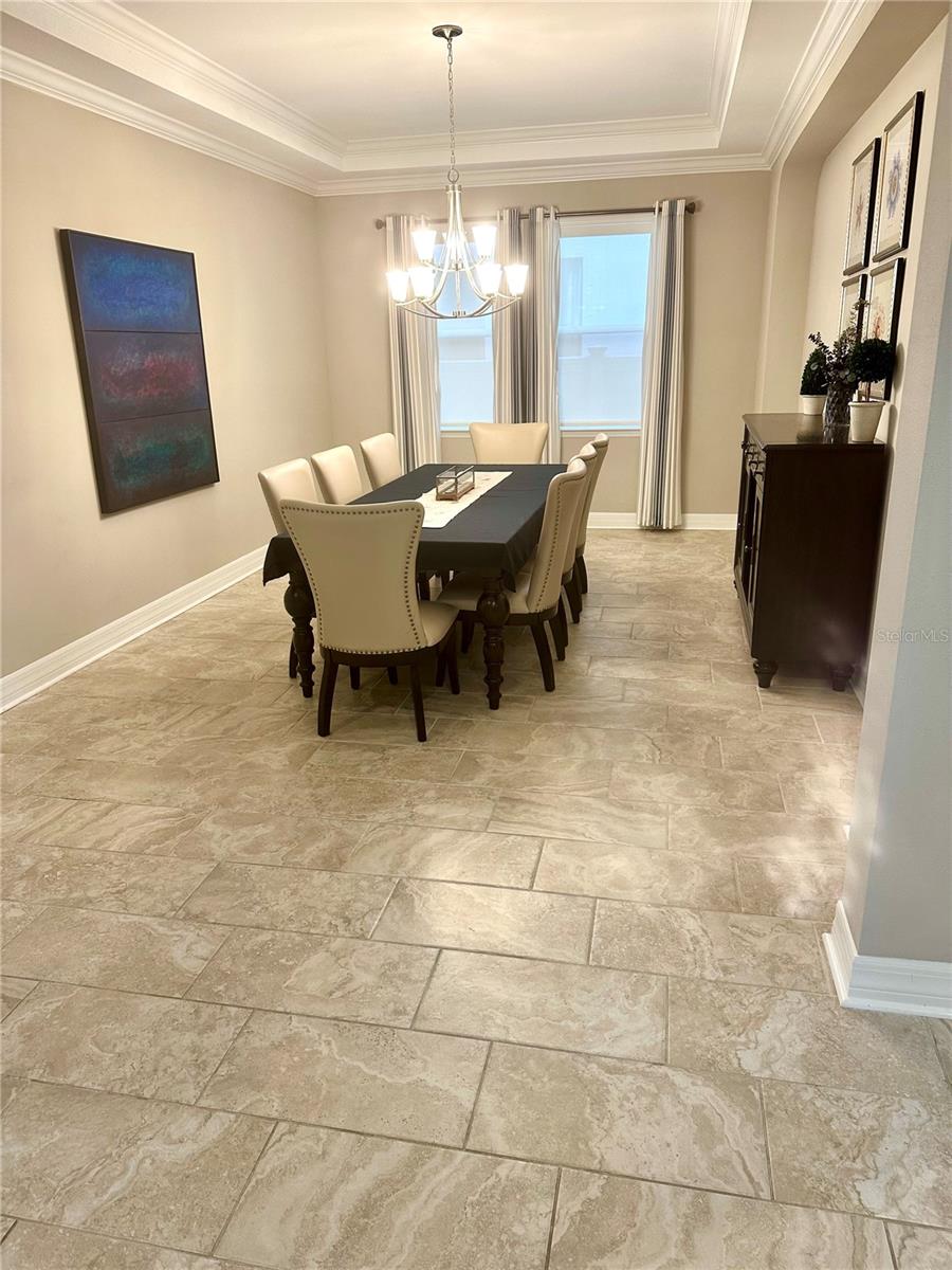 2620 MILFORD BERRY LN, TAMPA, FL, 33618