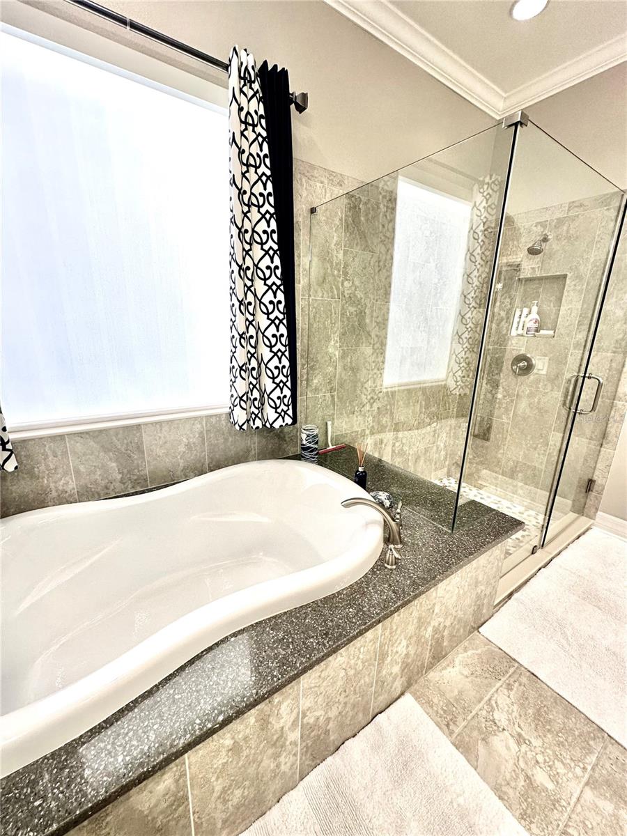 2620 MILFORD BERRY LN, TAMPA, FL, 33618