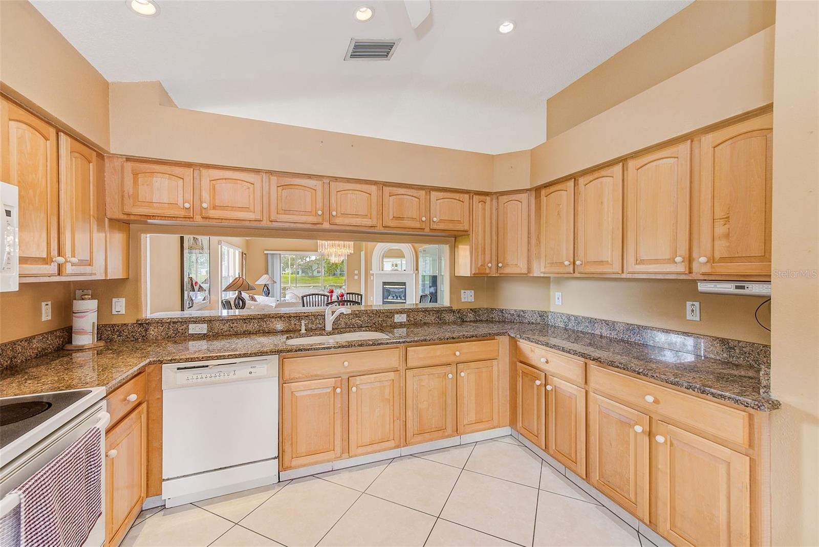 11600 WEAVER PARK CT, TRINITY, FL, 34655