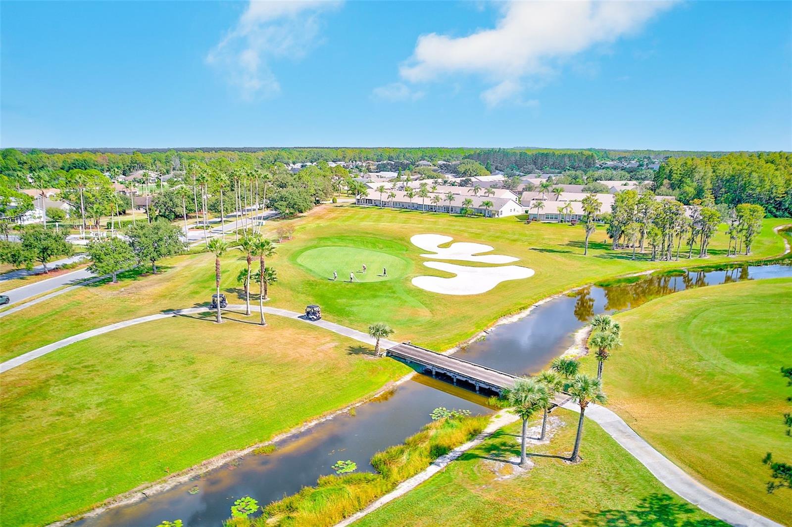 11600 WEAVER PARK CT, TRINITY, FL, 34655