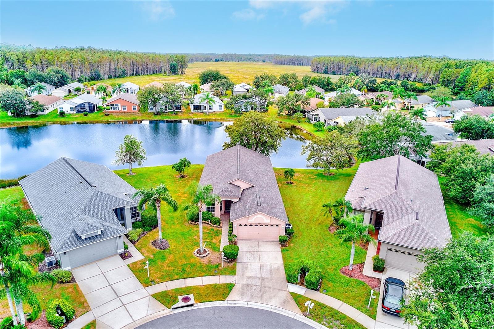 11600 WEAVER PARK CT, TRINITY, FL, 34655