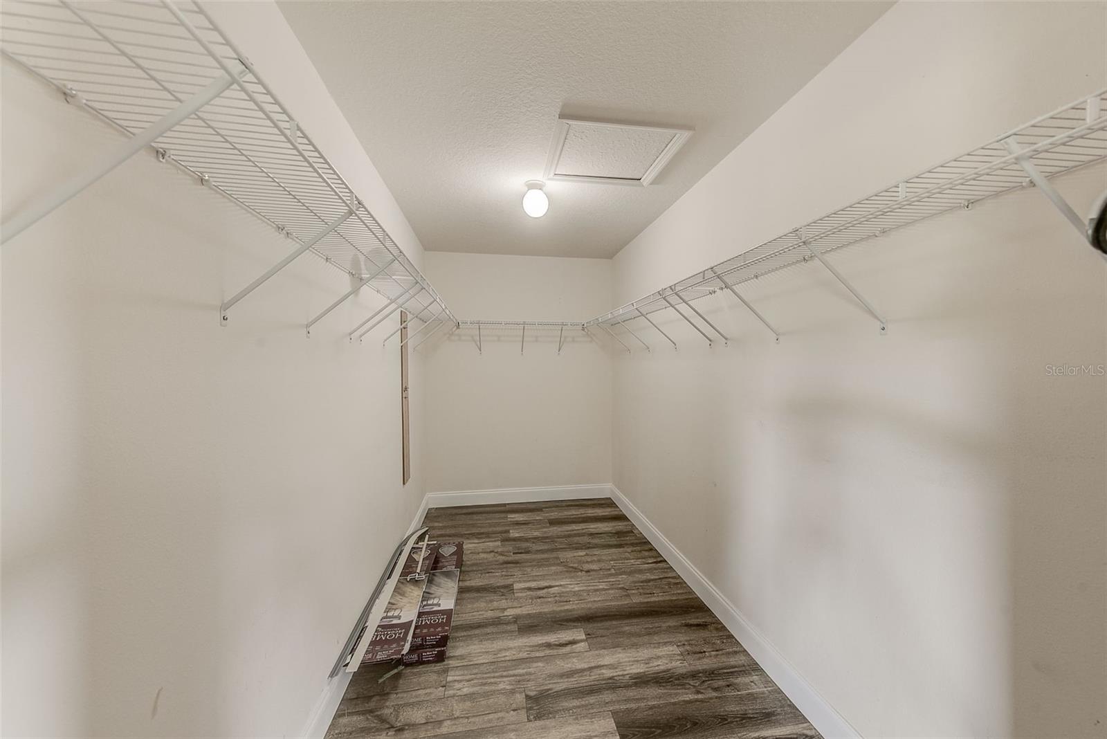 11600 WEAVER PARK CT, TRINITY, FL, 34655