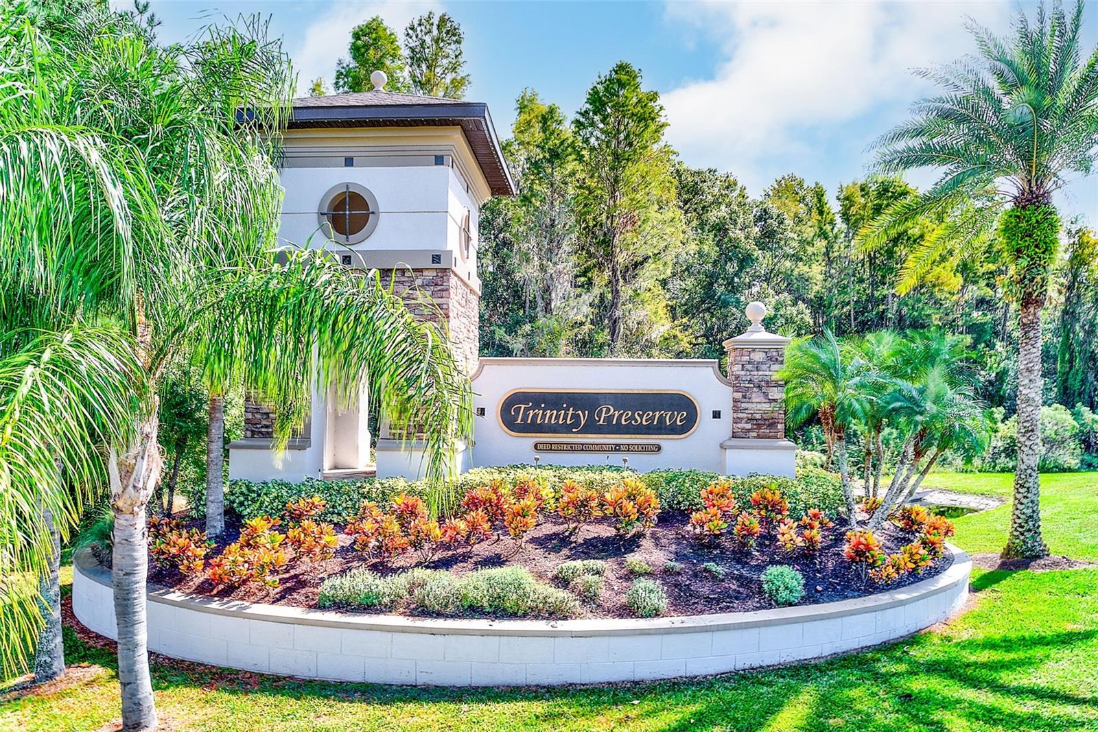 11600 WEAVER PARK CT, TRINITY, FL, 34655