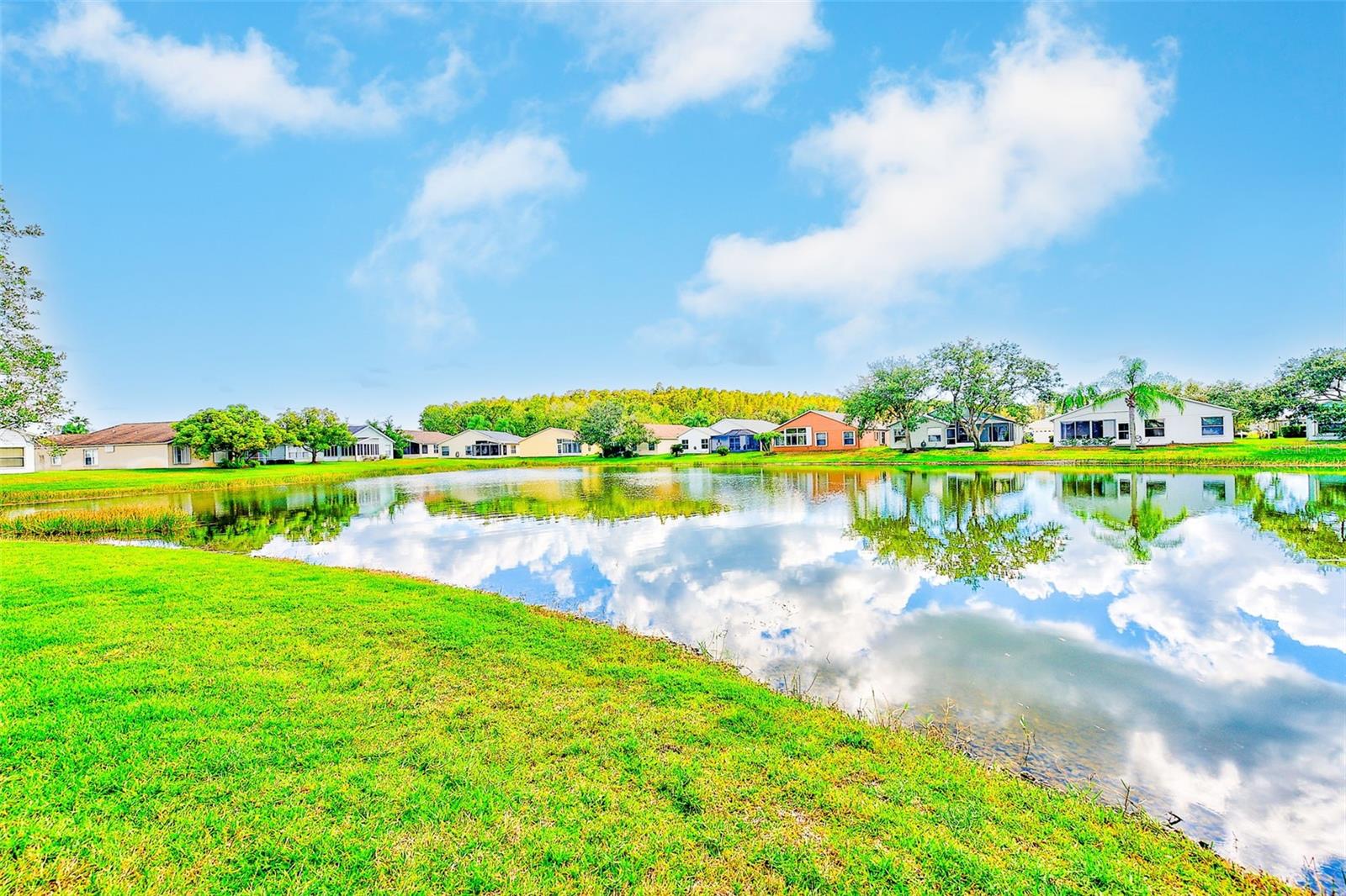 11600 WEAVER PARK CT, TRINITY, FL, 34655