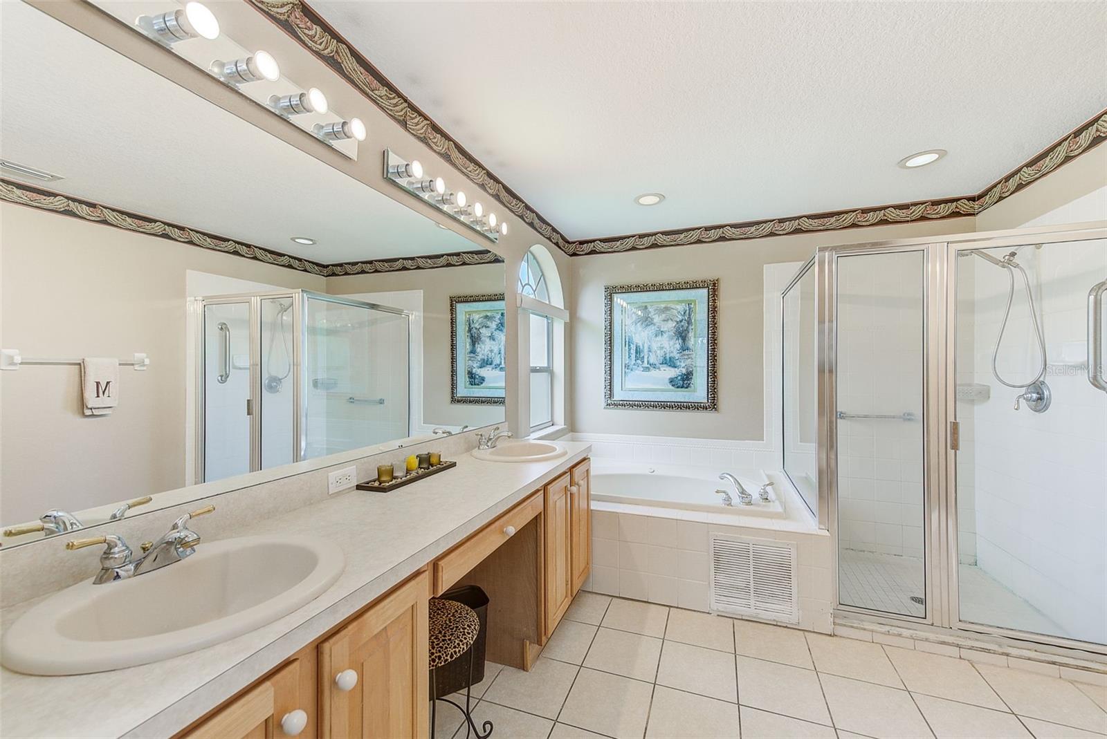 11600 WEAVER PARK CT, TRINITY, FL, 34655