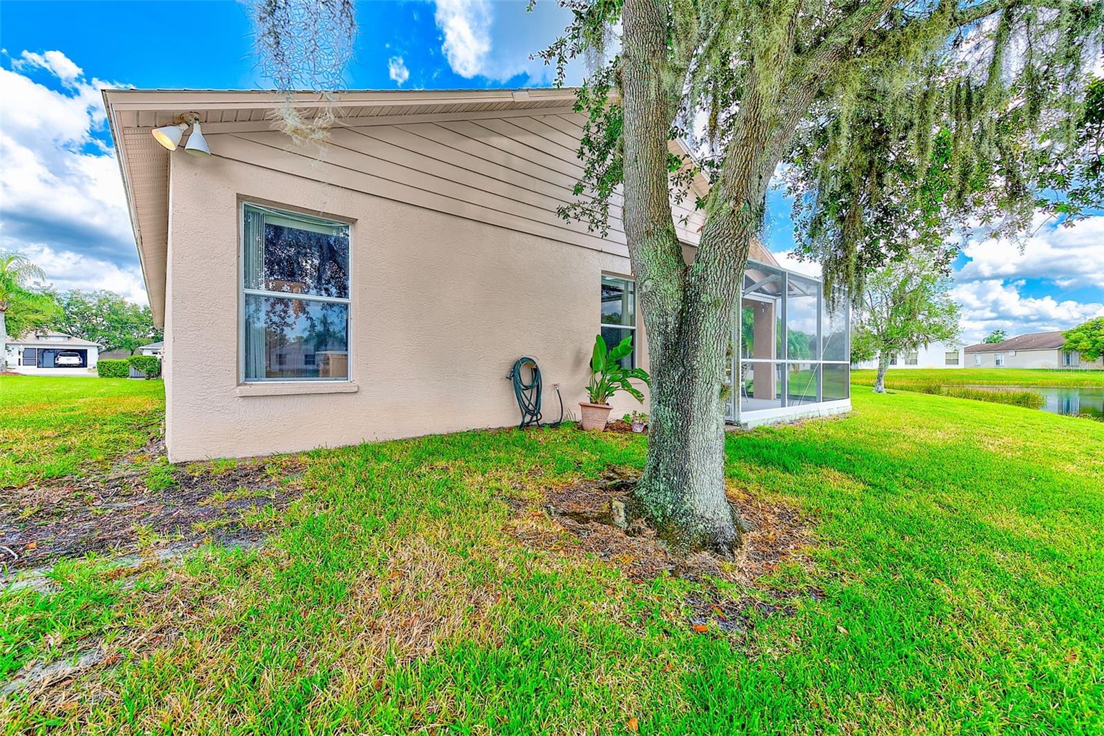 11600 WEAVER PARK CT, TRINITY, FL, 34655