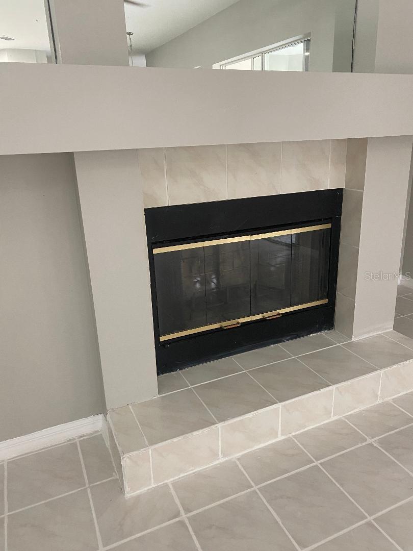 2243 EAGLE BLUFF DR, VALRICO, FL, 33596