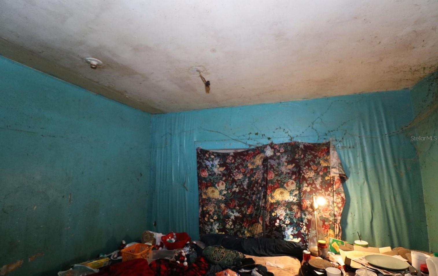 FC313531 Property Photo