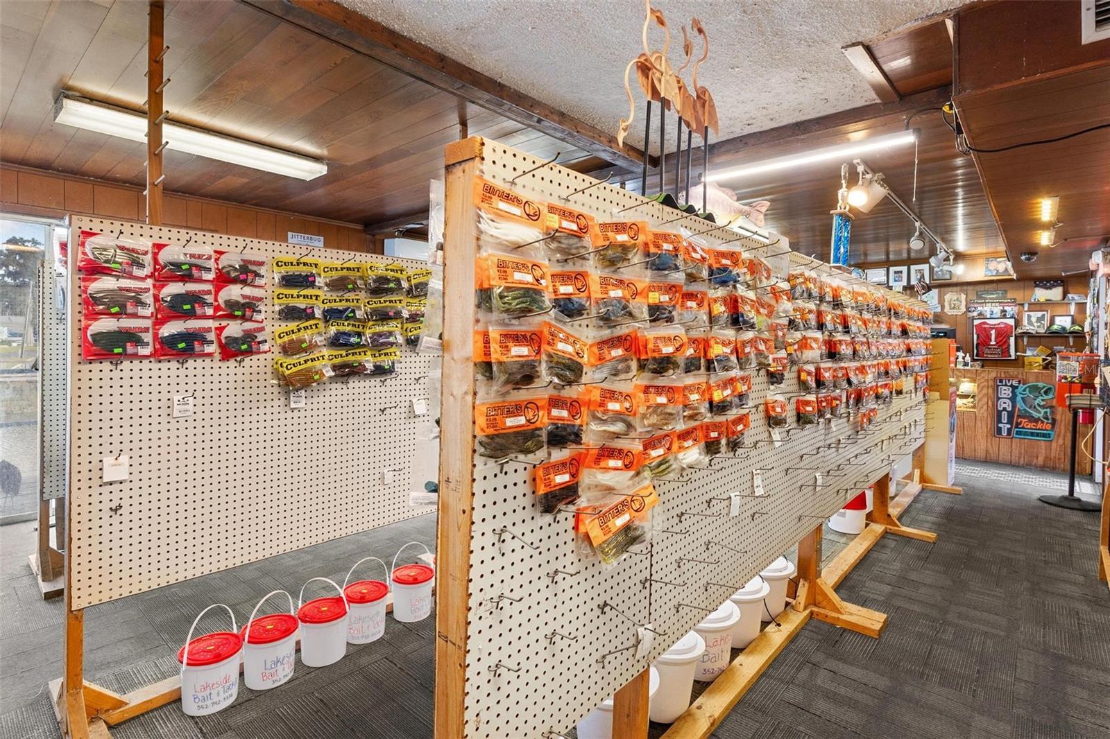 1006 W BURLEIGH BLVD, TAVARES, FL, 32778