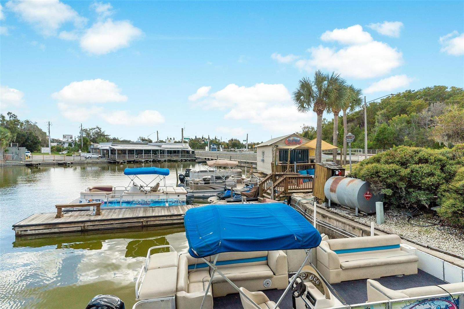 1006 W BURLEIGH BLVD, TAVARES, FL, 32778