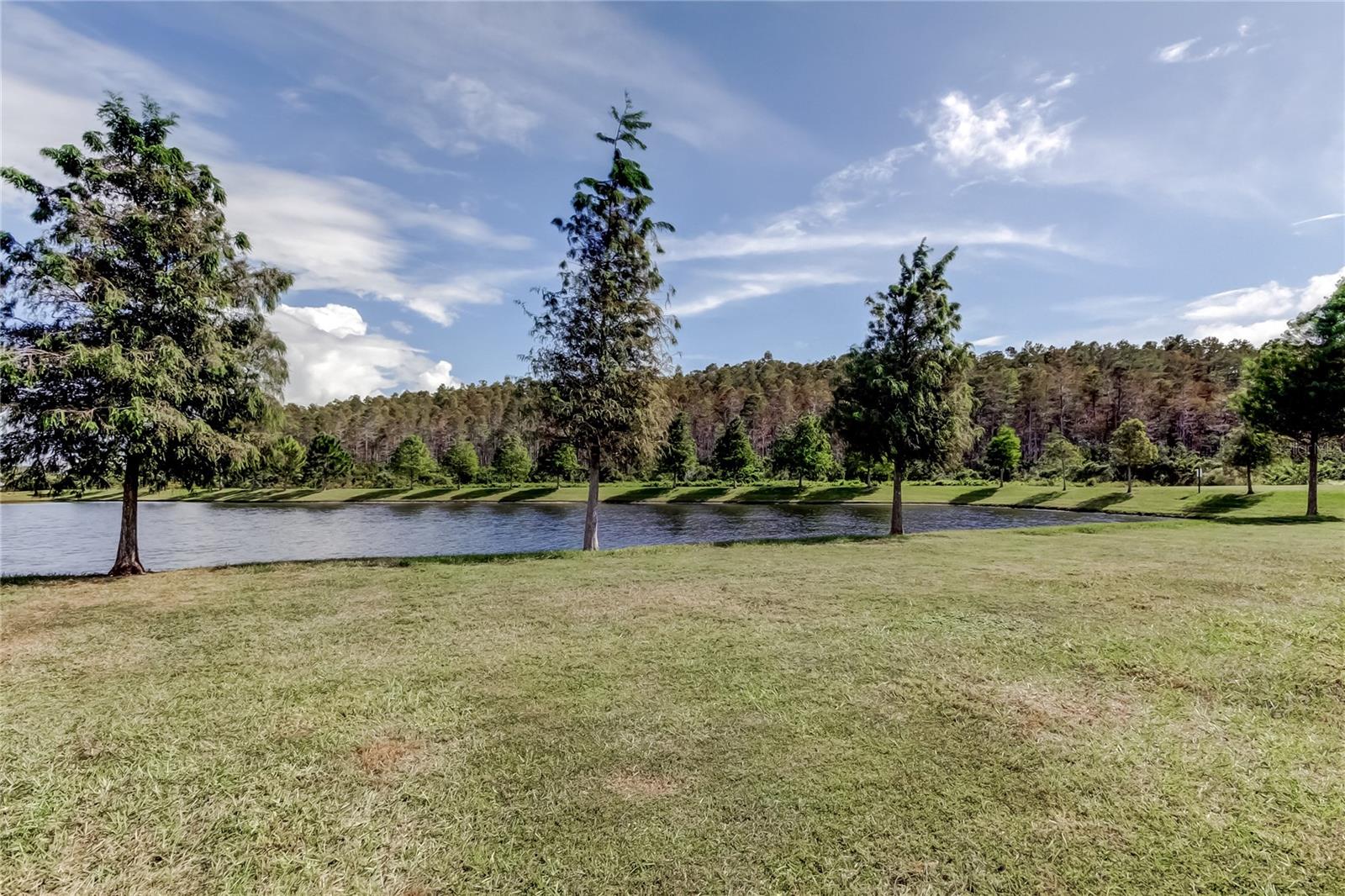 2182 GREAT SAPPHIRE LN, LUTZ, FL, 33558