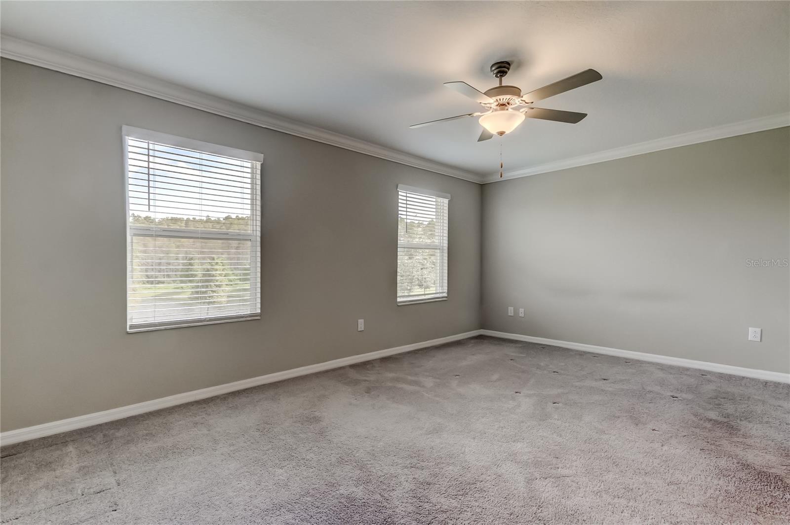 2182 GREAT SAPPHIRE LN, LUTZ, FL, 33558