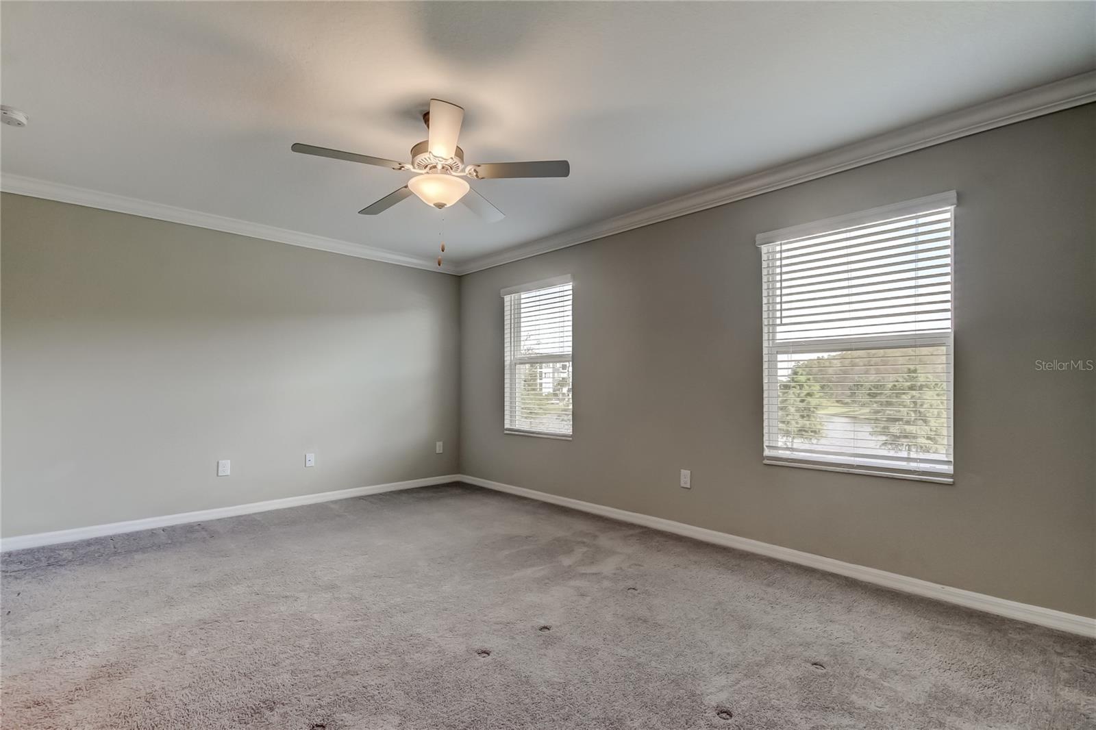 2182 GREAT SAPPHIRE LN, LUTZ, FL, 33558