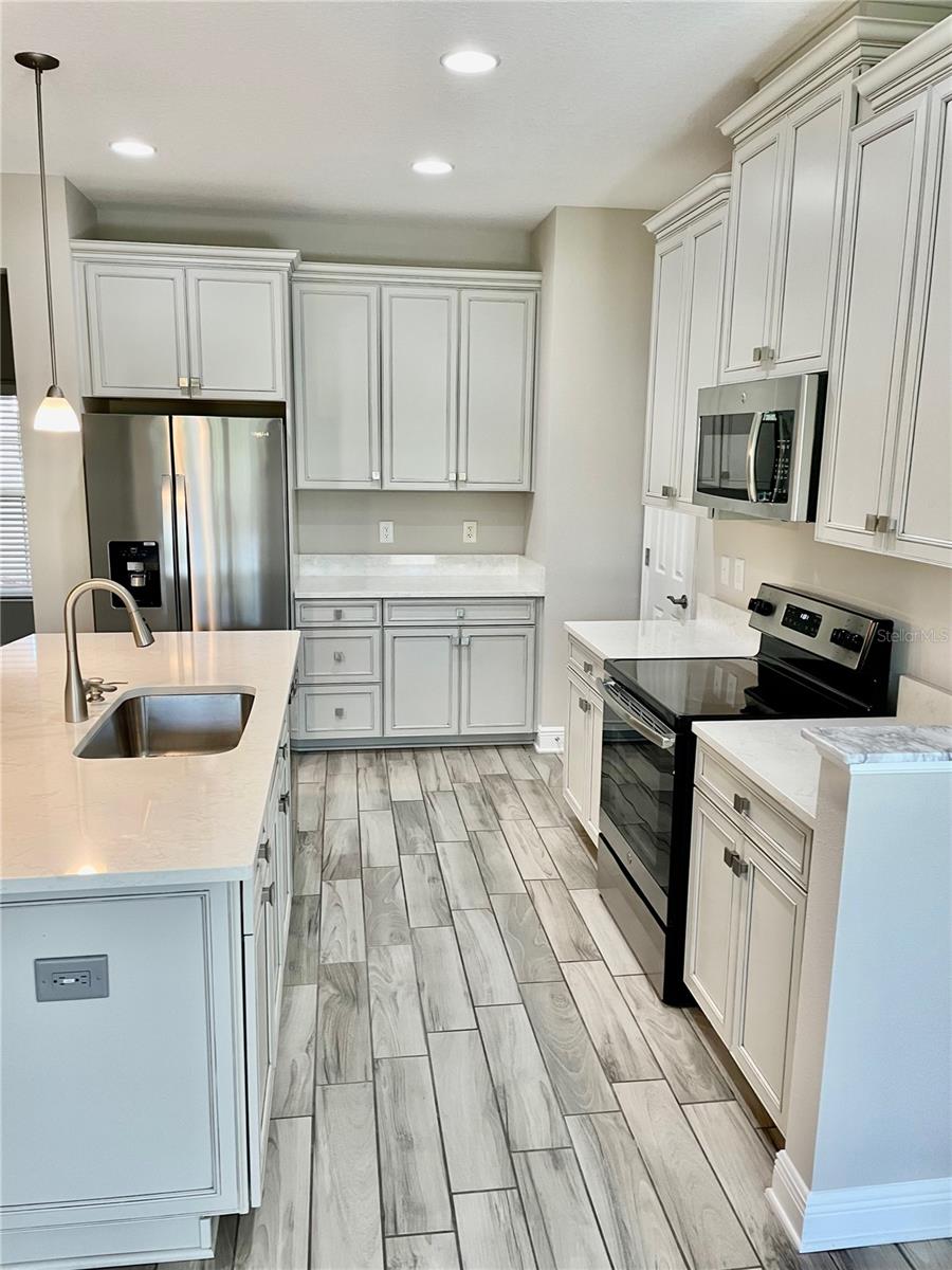 30255 SOUTHWELL LN, WESLEY CHAPEL, FL, 33543