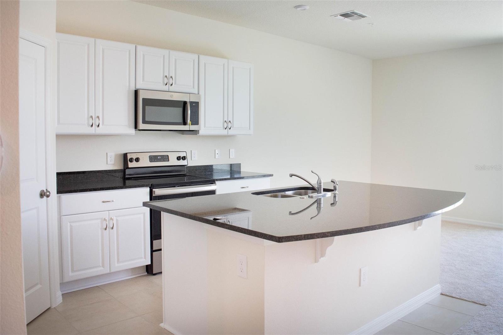 10509 SALT GROVE ST, ORLANDO, FL, 32824