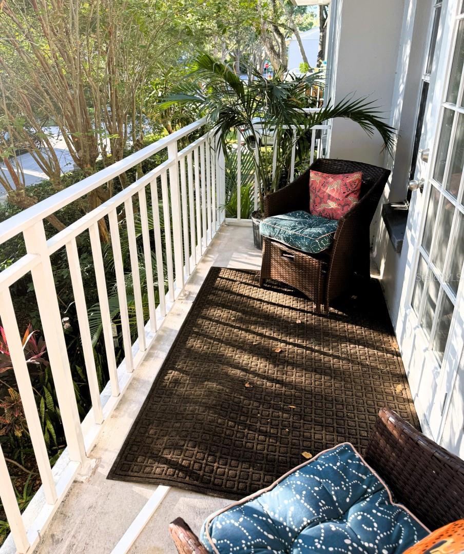 2314 S CLEWIS CT #204, TAMPA, FL, 33629