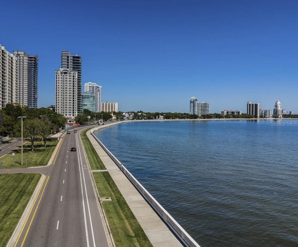 2314 S CLEWIS CT #204, TAMPA, FL, 33629